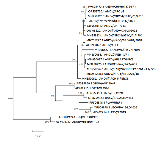 Arbol de máxima verosimilitud basado en la secuencia codificante completa de la nucleocápside del segmento S de cepas del virus Andes