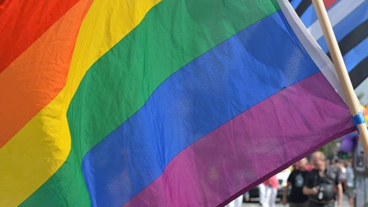 Bandera LGTBI. Arxiu