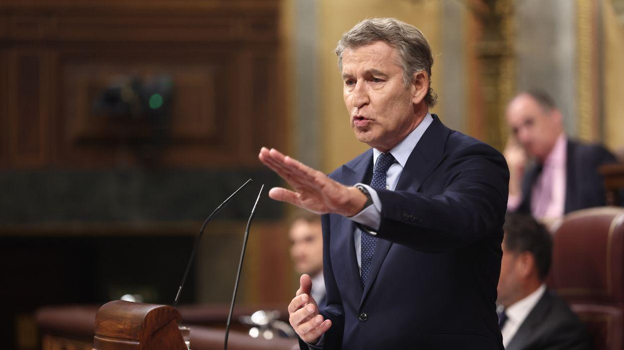 Alberto Núñez Feijóo al Congrés dels Diputats. EP